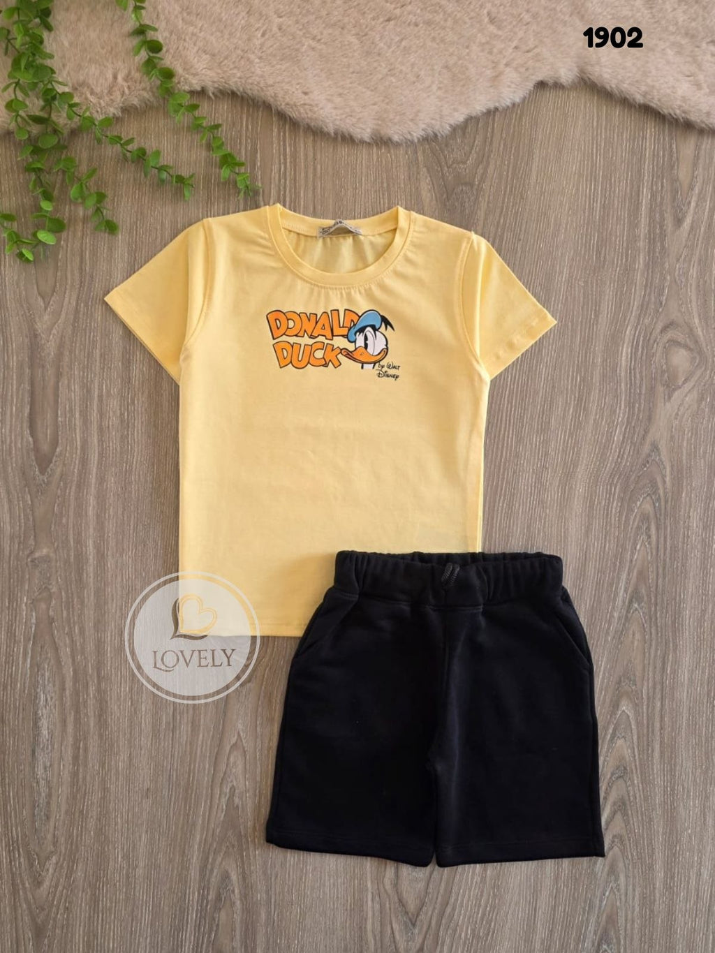 Donald Duck  kd